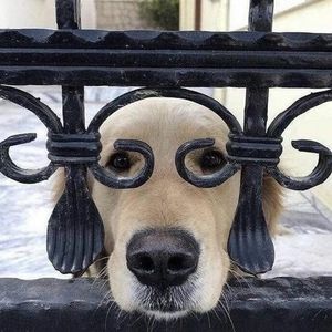 Meet your Posher, Brent